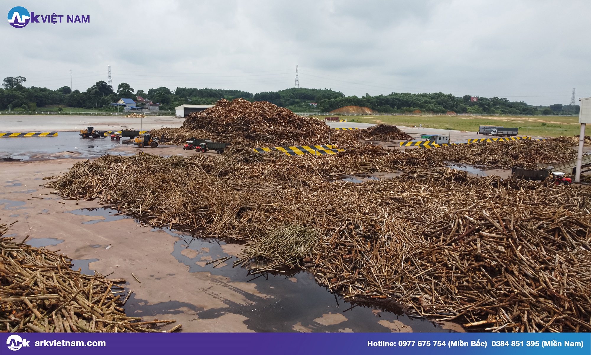 Dự án máy ép bùn ly tâm cho nhà máy sản xuất gỗ